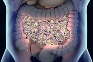 Peptide for the Gut